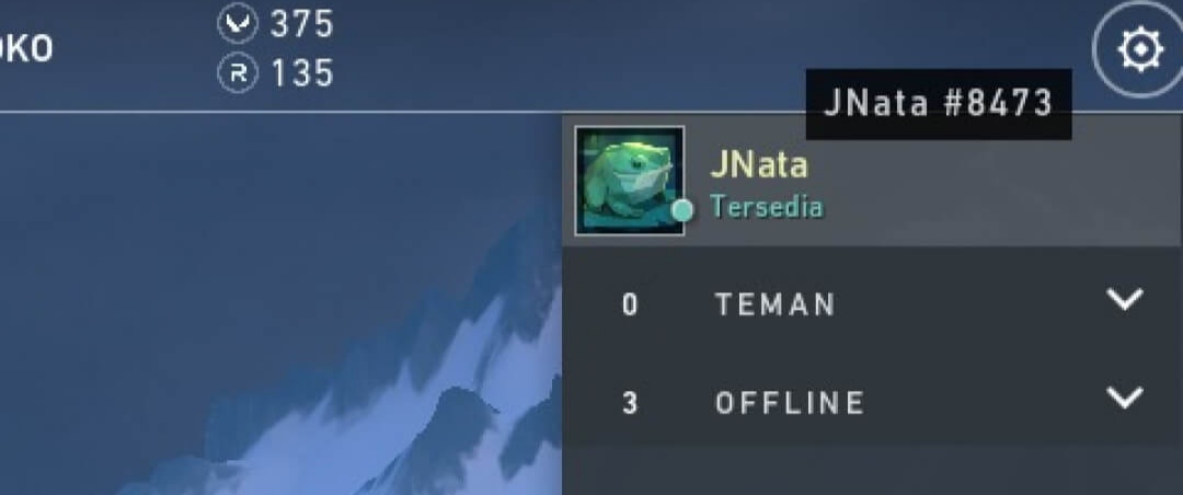 Petunjuk Valorant